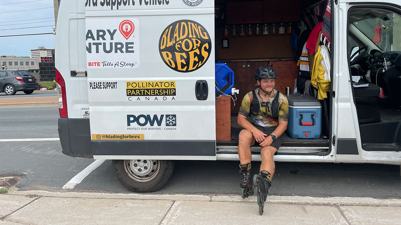 blading-for-bees-04-1280x720